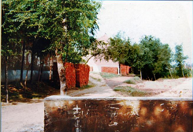 不忘初心牢记使命把握发展机遇,不忘初心牢记使命民营医疗机构