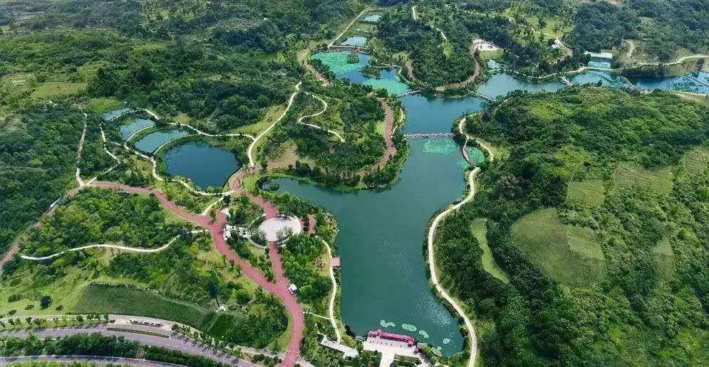 卧龙湖医院新闻,卧龙湖中医医院