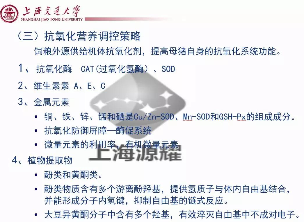 上海交大徐建雄教授直播课笔记：母猪氧化应激与营养调控