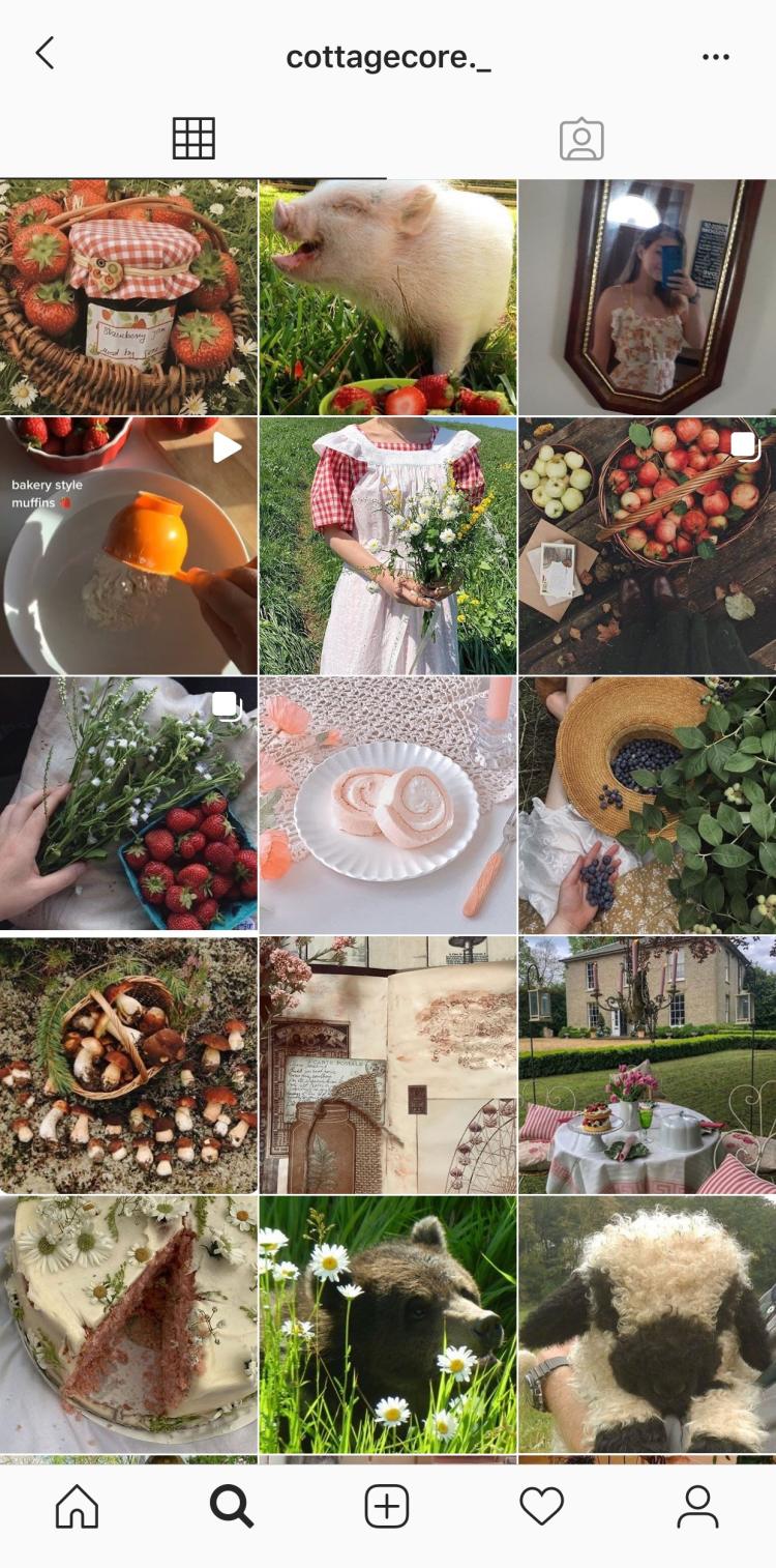 全球“田园美学”复兴，城市中产的大型幻想