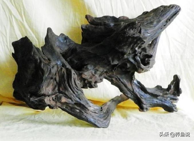 鱼缸养鱼四大神器,养鱼鱼缸水质净化神器