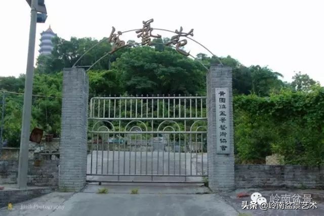 黄圃镇花店,花乡花卉绿植区