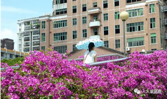 采花大盗逃到哪里了,采花大盗来访