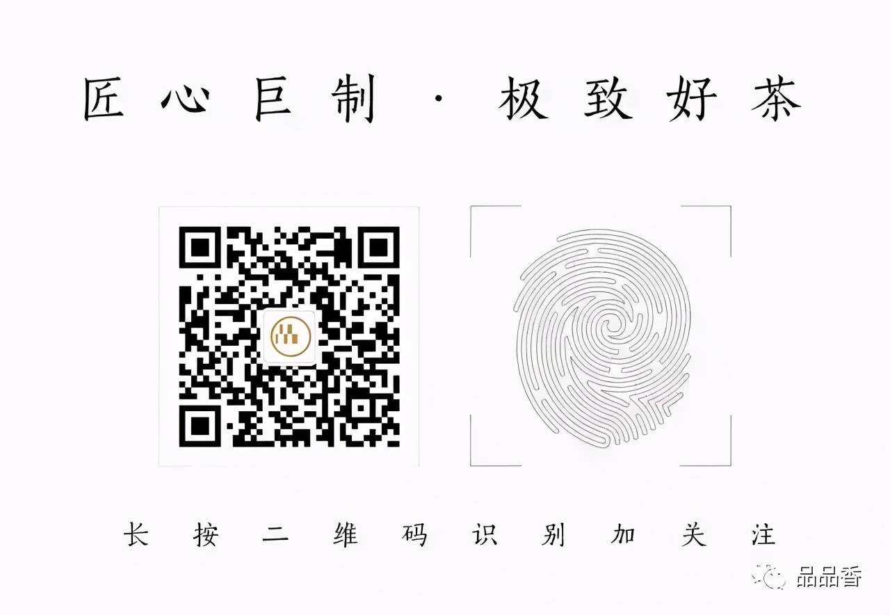 开启白茶之旅，品品香（北京）代表队来啦