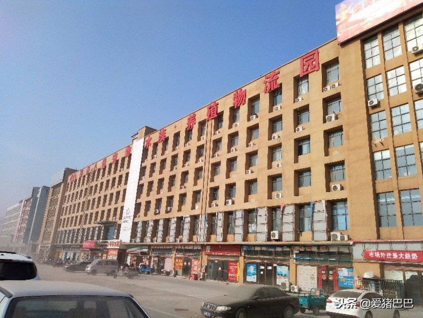 郑州市兽药批发市场哪个最大,全国最大兽药饲料批发市场