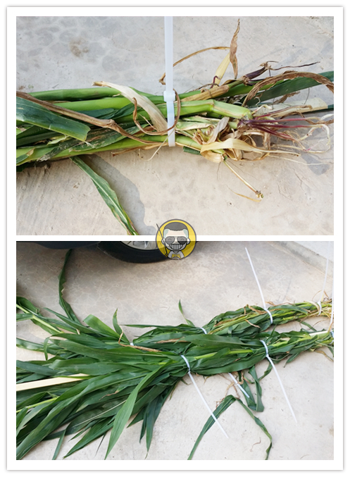 草鱼窝料水库,夏季专攻草鱼的窝料