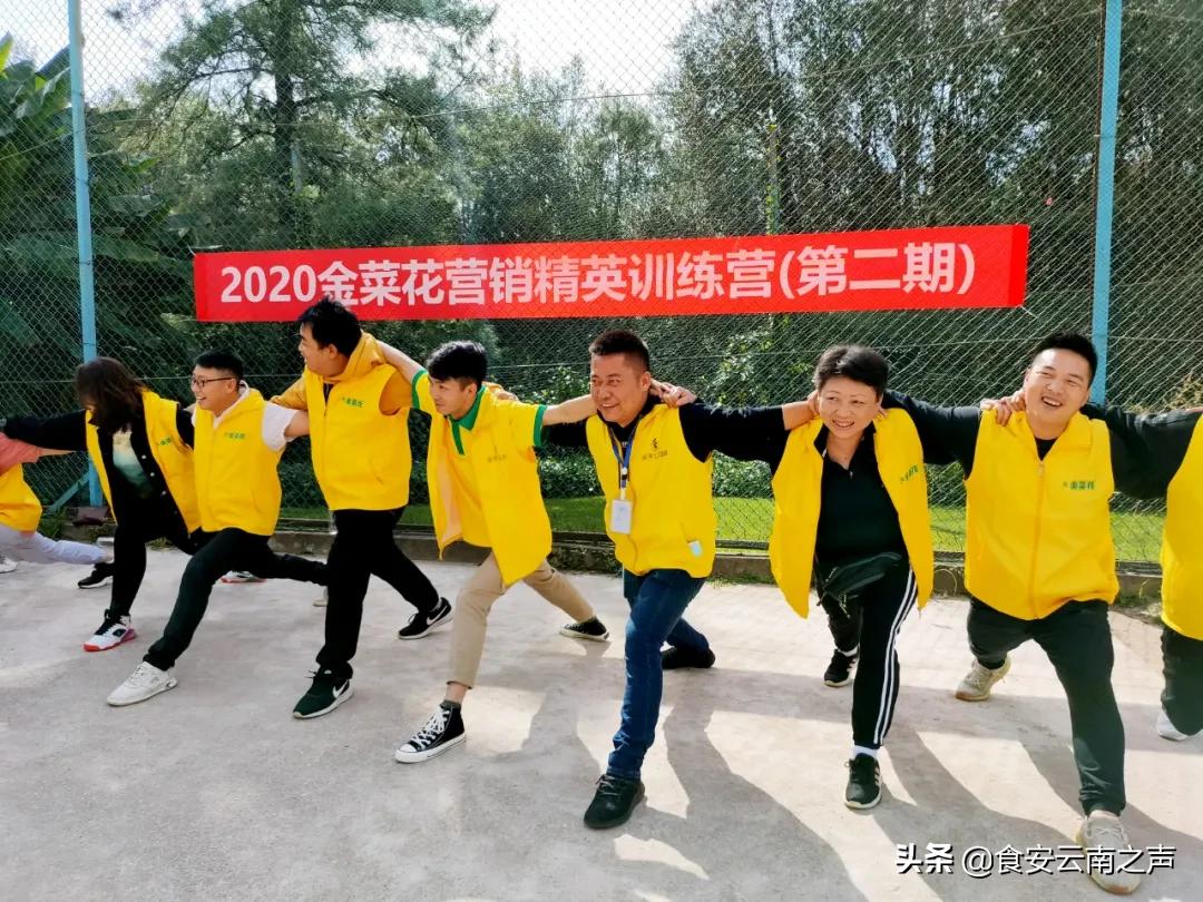 金丰汇聚，共创未来——2020“金菜花”营销精英训练营（第二期）圆满闭营
