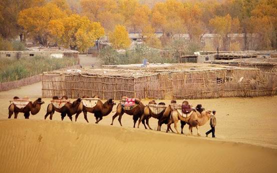 新疆于田沙漠无人区,新疆于田沙漠最后村庄