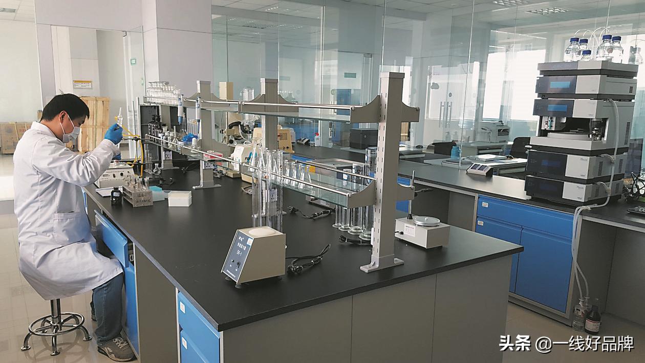 扬帆起航再出发乘势而上开新局,晟源康灵芝