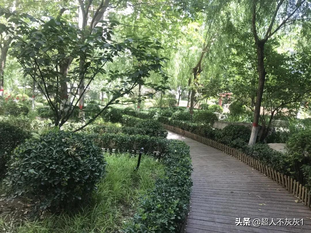 石家庄园林景观最好的小区：一流学区，江南水景，交房超过十年