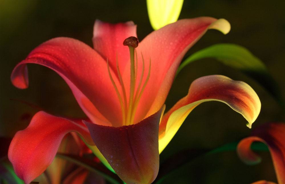 高考文言文实词高频知识手册,高考文言实词易错考点归纳