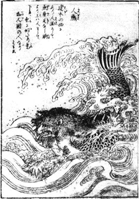 奇丑的人鱼图片,人鱼到底长什么样子