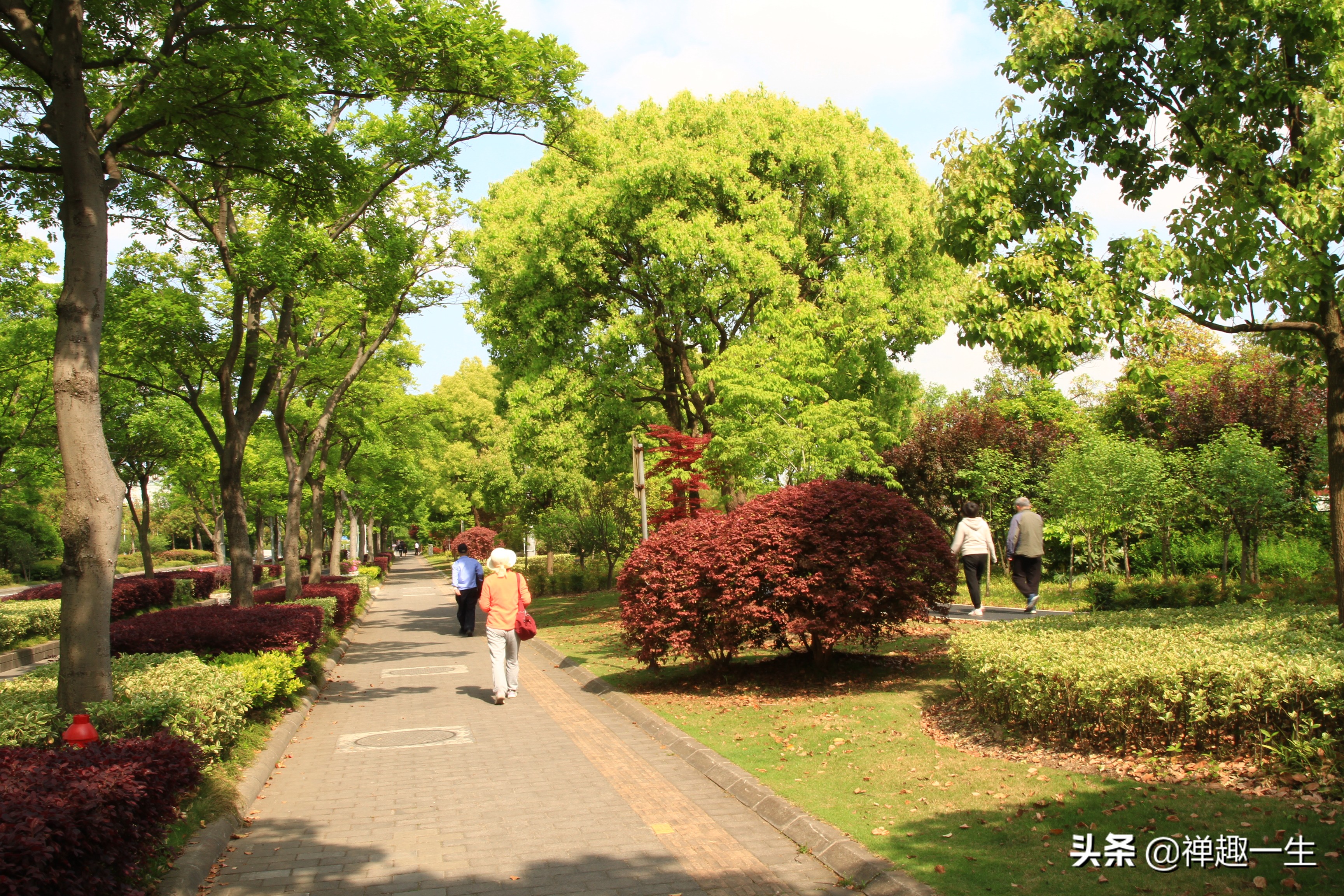 九曲江湾，十里湿地，鸟语花香，沪上最美中心城区，您去过吗？