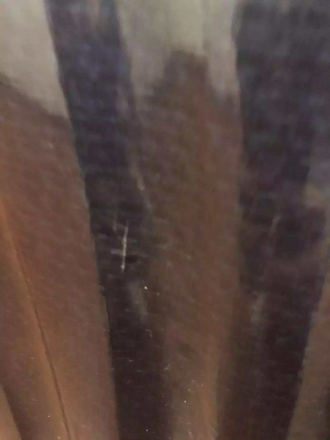 网易考拉新秀丽是正品吗,考拉自营新秀丽是正品吗