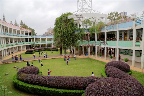 鸵鸟足球俱乐部报名,灵溪鸵鸟足球俱乐部怎么样