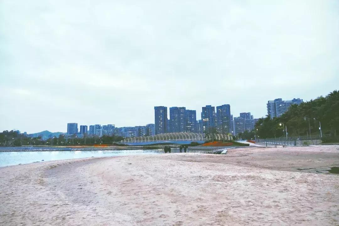 深圳湾公园这里有什么好吃的,深圳湾在哪里