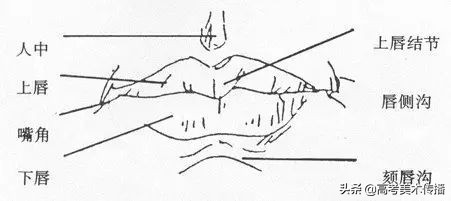 速写五官技法,速写五官的画法精讲