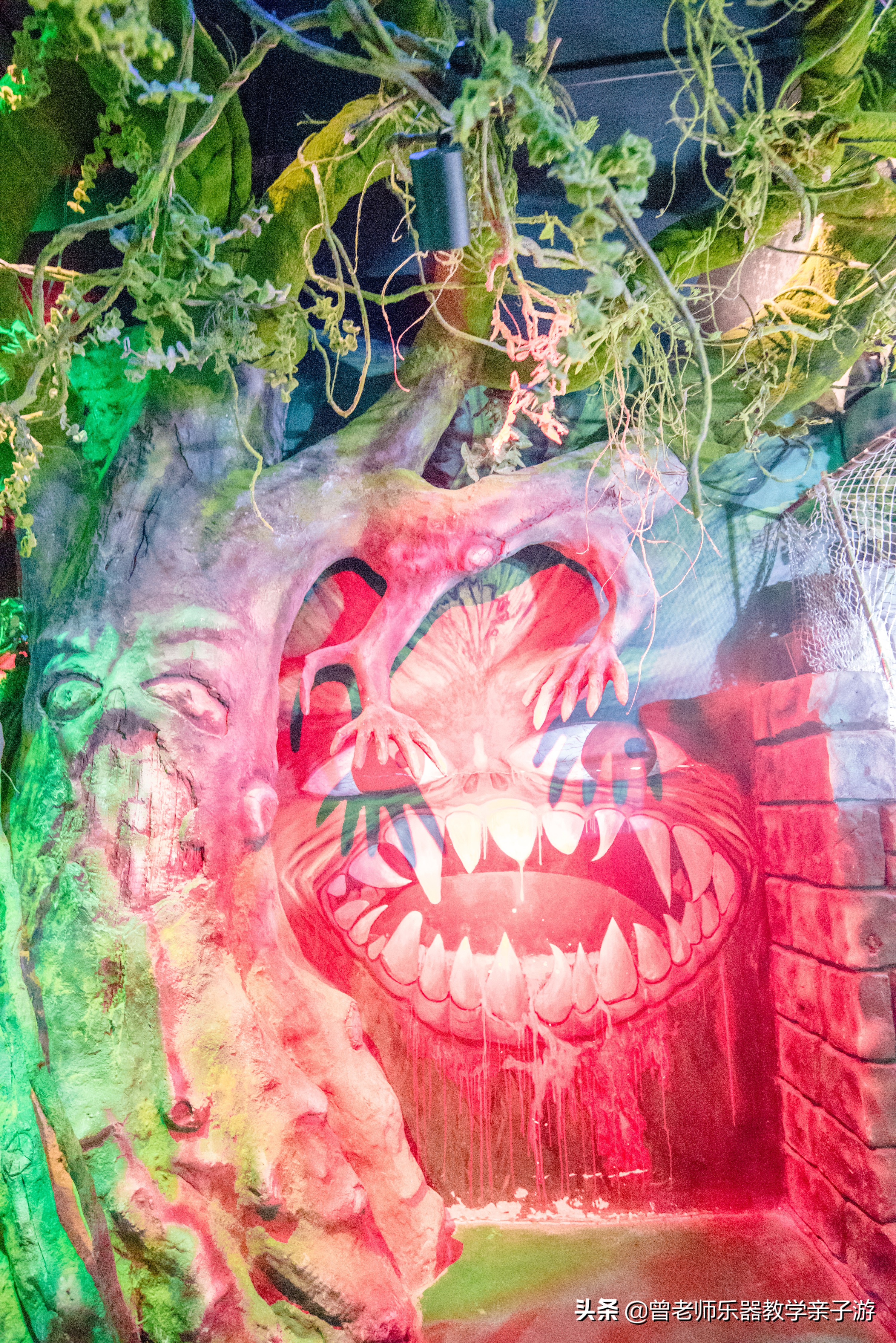 西安太奥海洋馆,西安极地海洋世界海豚表演