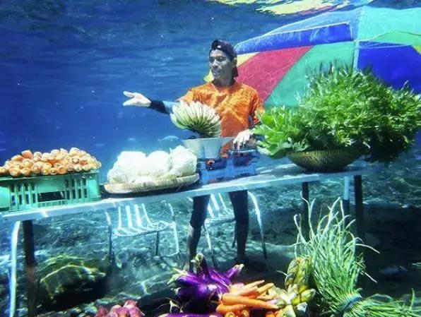 乡下小池塘,乡村里面的小池塘