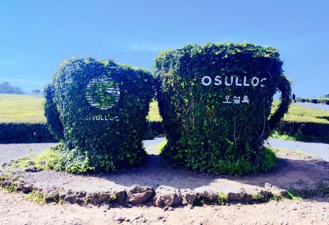 济州岛自由行详细攻略,济州岛自由行超实用攻略