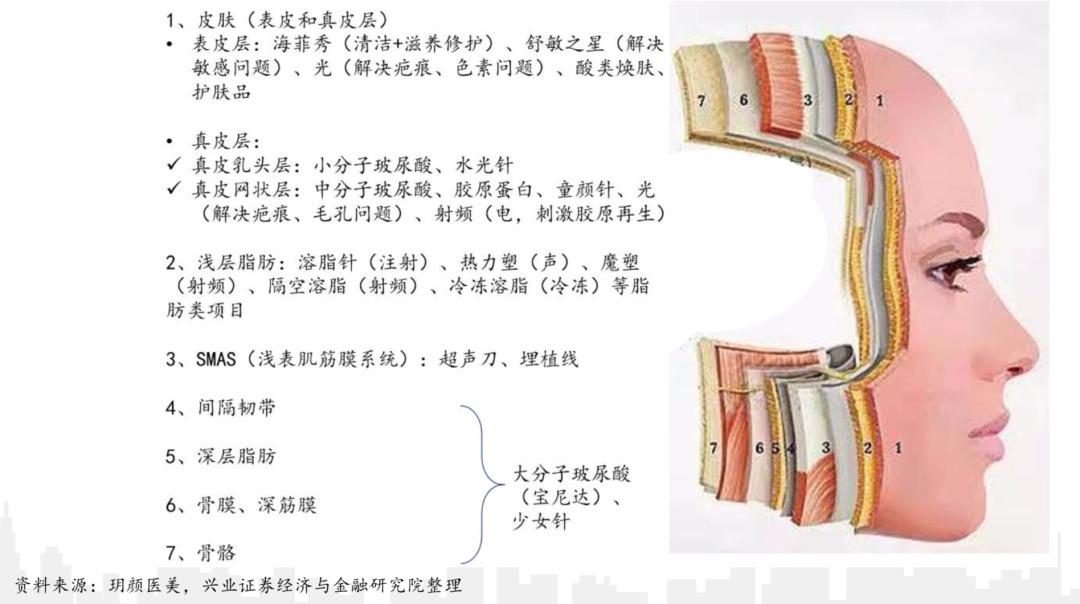 抖音上长得像杨幂的网红,为什么很多网红都感觉长得很像