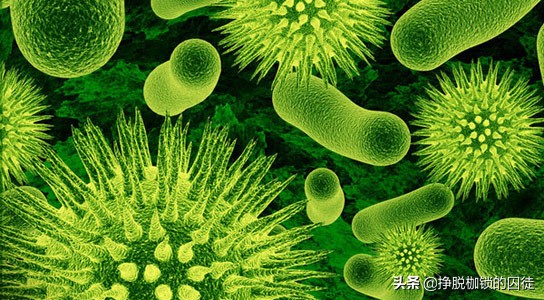 中医药为人类健康服务,中医药造福人类