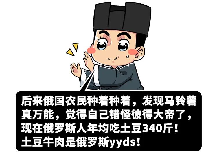 一个马铃薯能做什么,一个马铃薯可以做什么