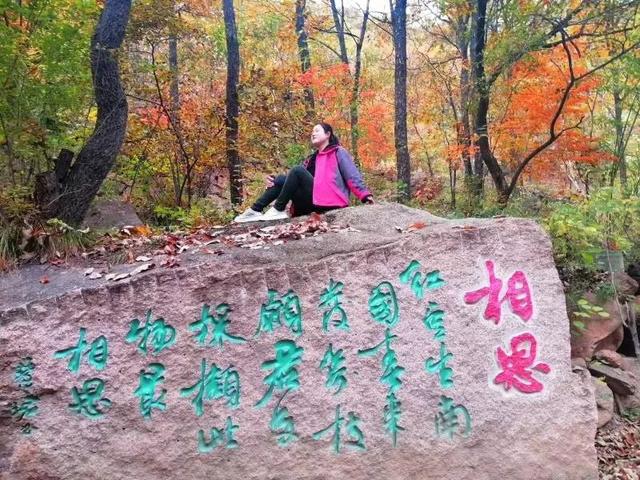 西泰山是什么样的,西泰山为啥叫西泰山