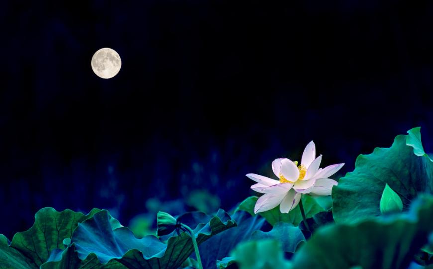 原创诗词14首,经典诗词36首