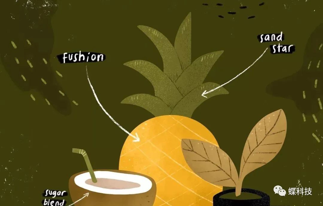 「笔刷」ProcreateApp画笔*载下**-自然生活插画Procreate笔刷