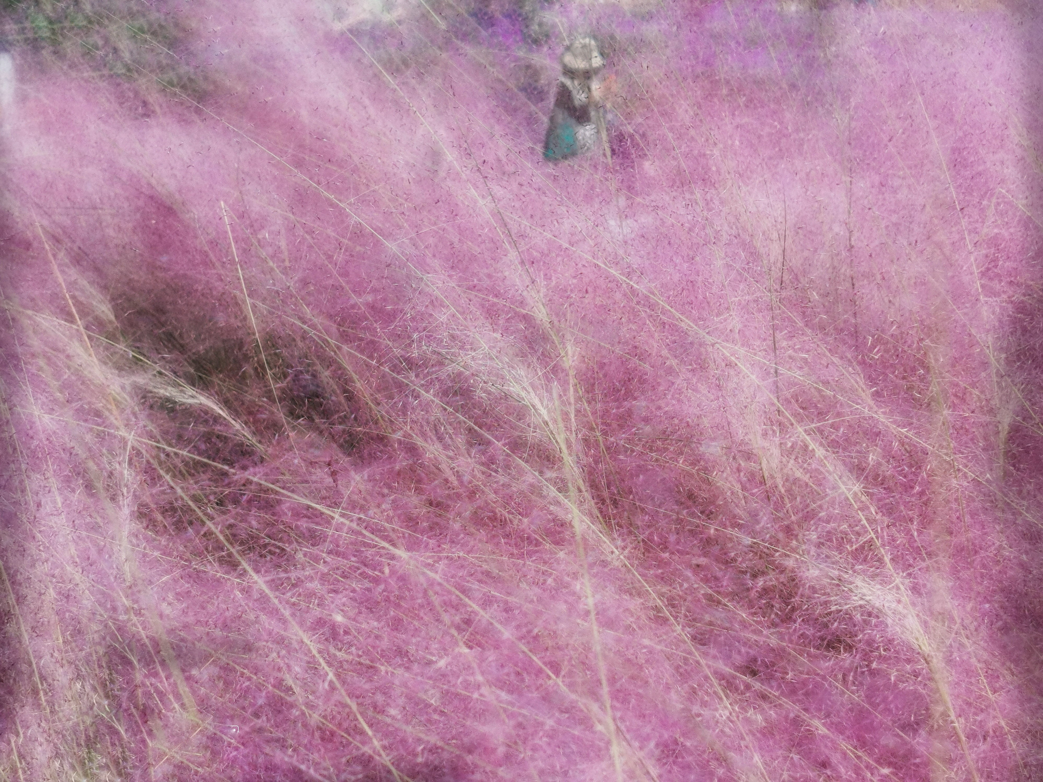 老茶店门店换新颜,茶店子新公园