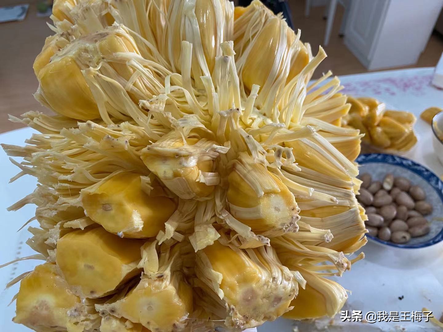 北方人为啥喜欢吃菠萝蜜,北方人没见过海南菠萝蜜