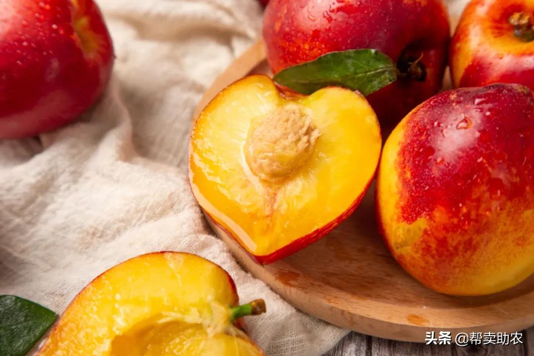 又脆又甜的油桃真好吃,油桃脆甜多汁爽口