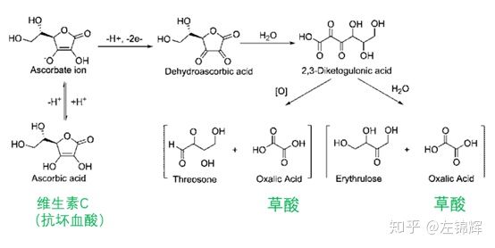 长期吃维生素c能美白吗,长期服用维生素C会提高免疫力吗