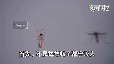 宝宝总爱招蚊子？如何驱蚊、止痒？真正有效的方法，只有这几种