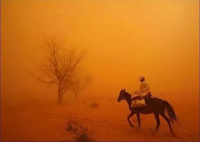 贴吧草莽往事:李毅吧被赞为卢浮宫,没有大V和粉丝,众生平等