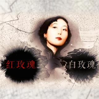 张爱玲留情深度解析,张爱玲留情全文朗读