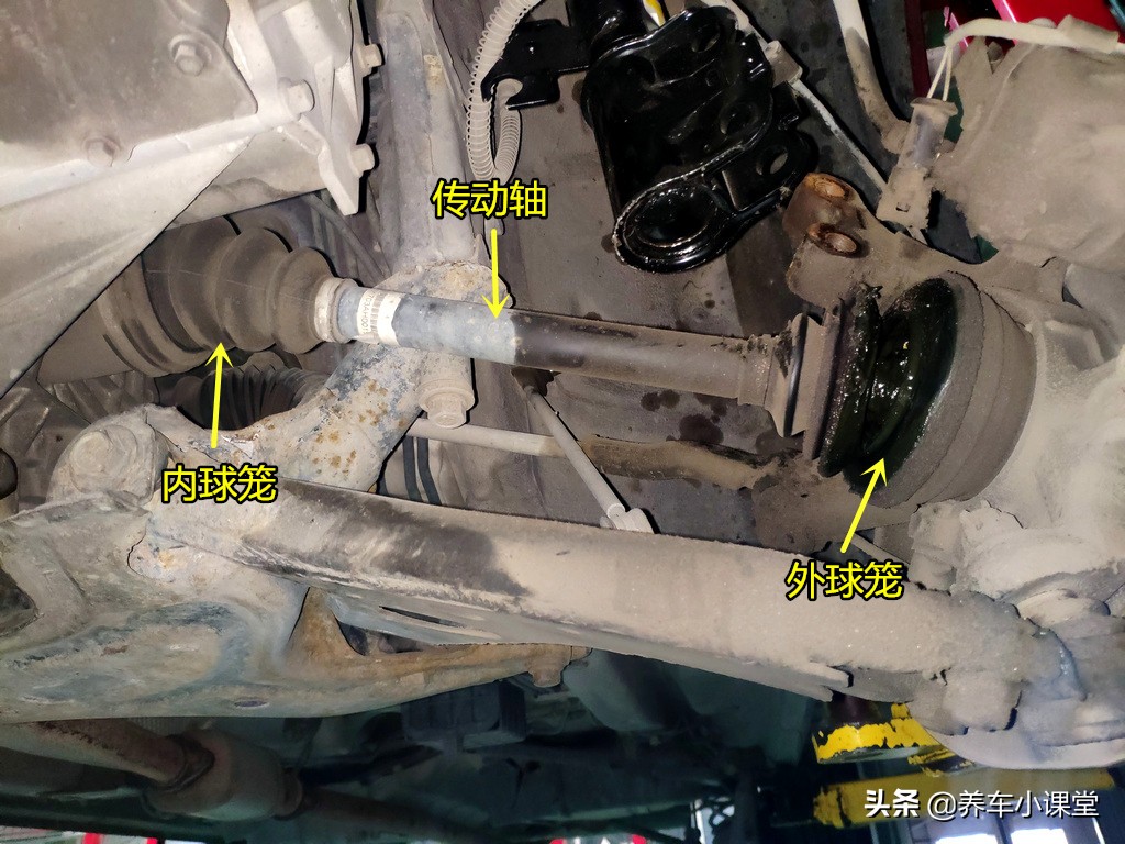 疏忽大意险酿大祸视频,球笼寿命一般多大