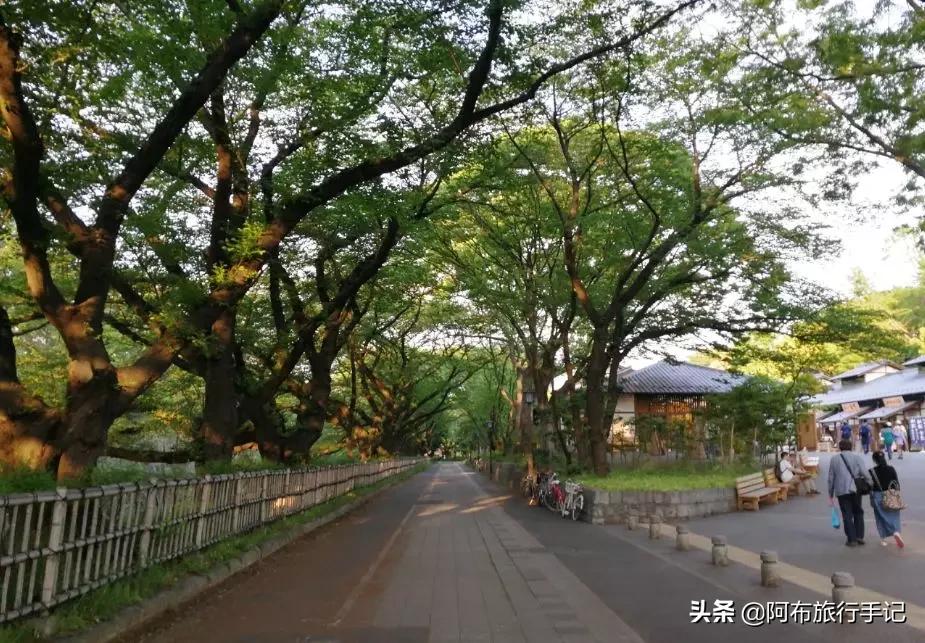 名古屋隐藏美食,日本名古屋有什么好吃的