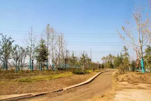 最全大荔旅游攻略拿走不谢,大荔必去4个景点