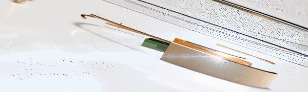 盛大金禧战略合作伙伴，家边购实业集团向武汉输送二十吨蔬菜