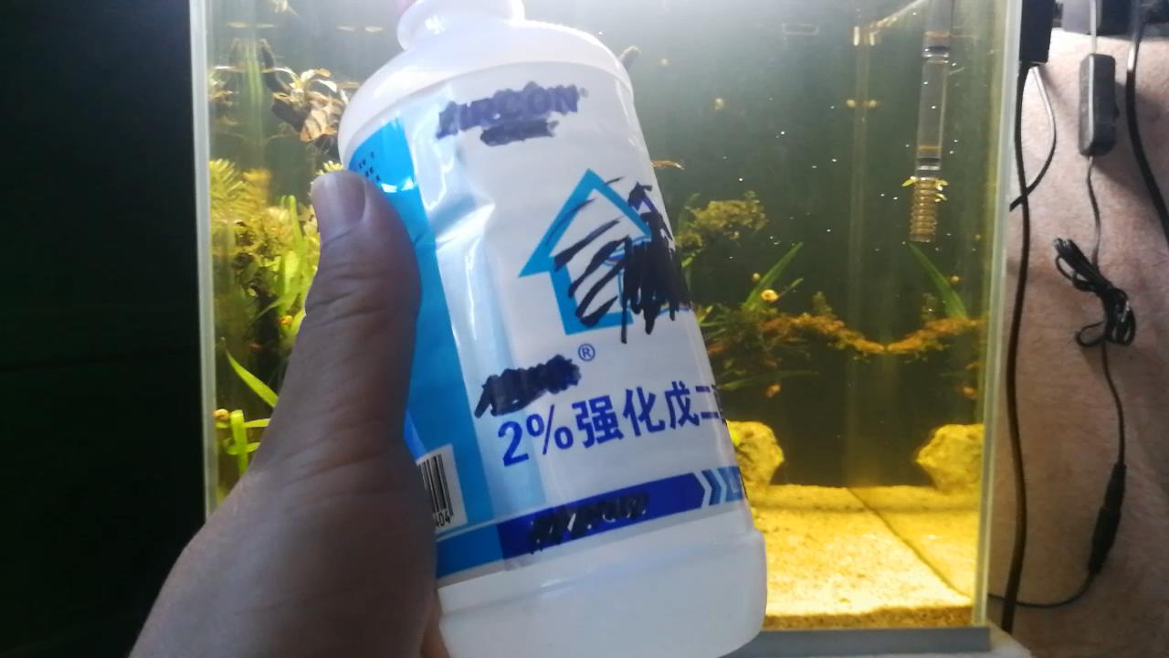 戊二醛鱼缸除藻可以每天加吗,怎样用戊二醛去除鱼缸中的绿藻