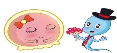 游泳池里意外怀孕，需要多少个巧合？