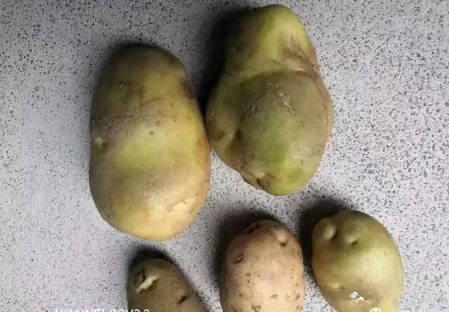 小朋友吃了长胡子的食物,什么样的食物小孩吃了容易长虫