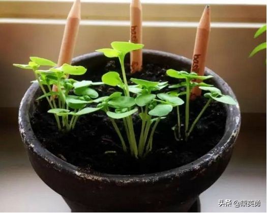 国家趋势与创业商机,如何把握商机抓住创业机会呢