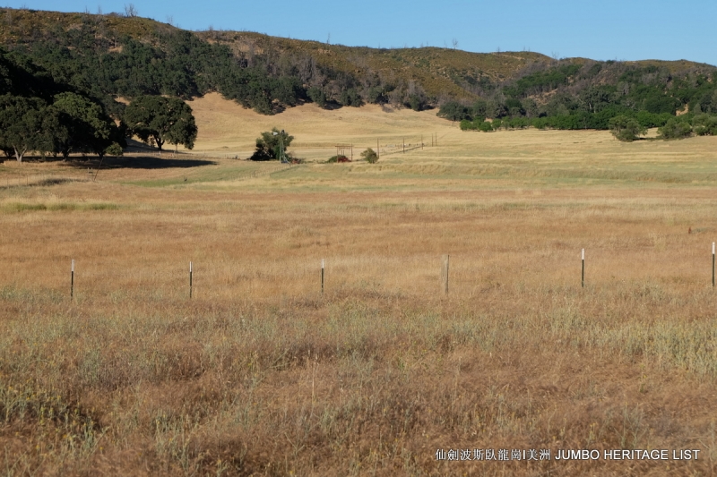 第3034回：无风雨不知花可惜，无患难不知人可谋