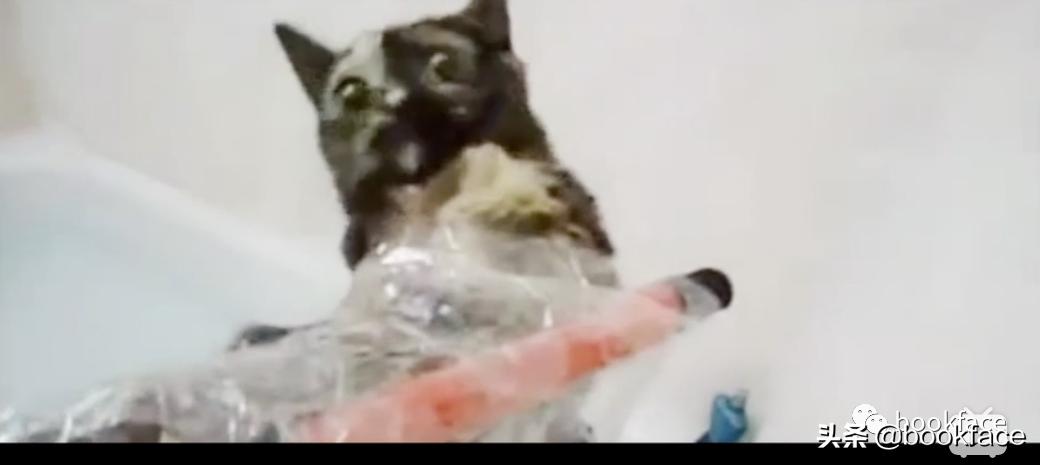 铏愮尗浜嬩欢铏愮尗鐙傞瓟,鐩樼偣铏愮尗琛屼负