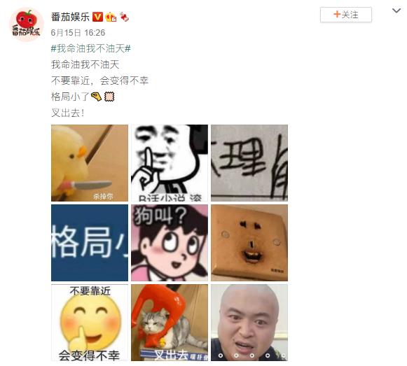 王思聪晒出的聊天记录,王思聪再曝聊天记录表情包