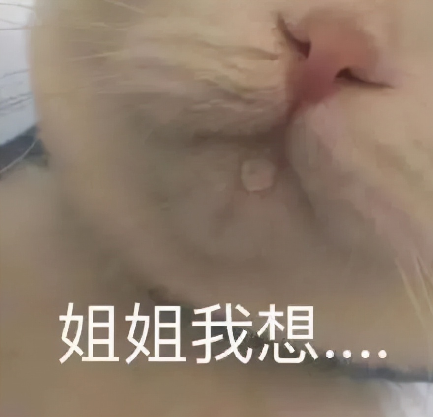 东北大姨冬天穿皮草,东北大姨冬天穿貂