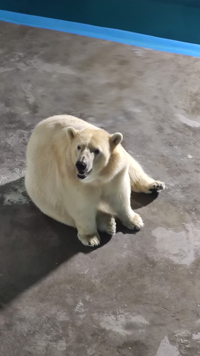 福州欧乐堡海洋世界家庭套票团购,福州欧乐堡海洋世界门票价格